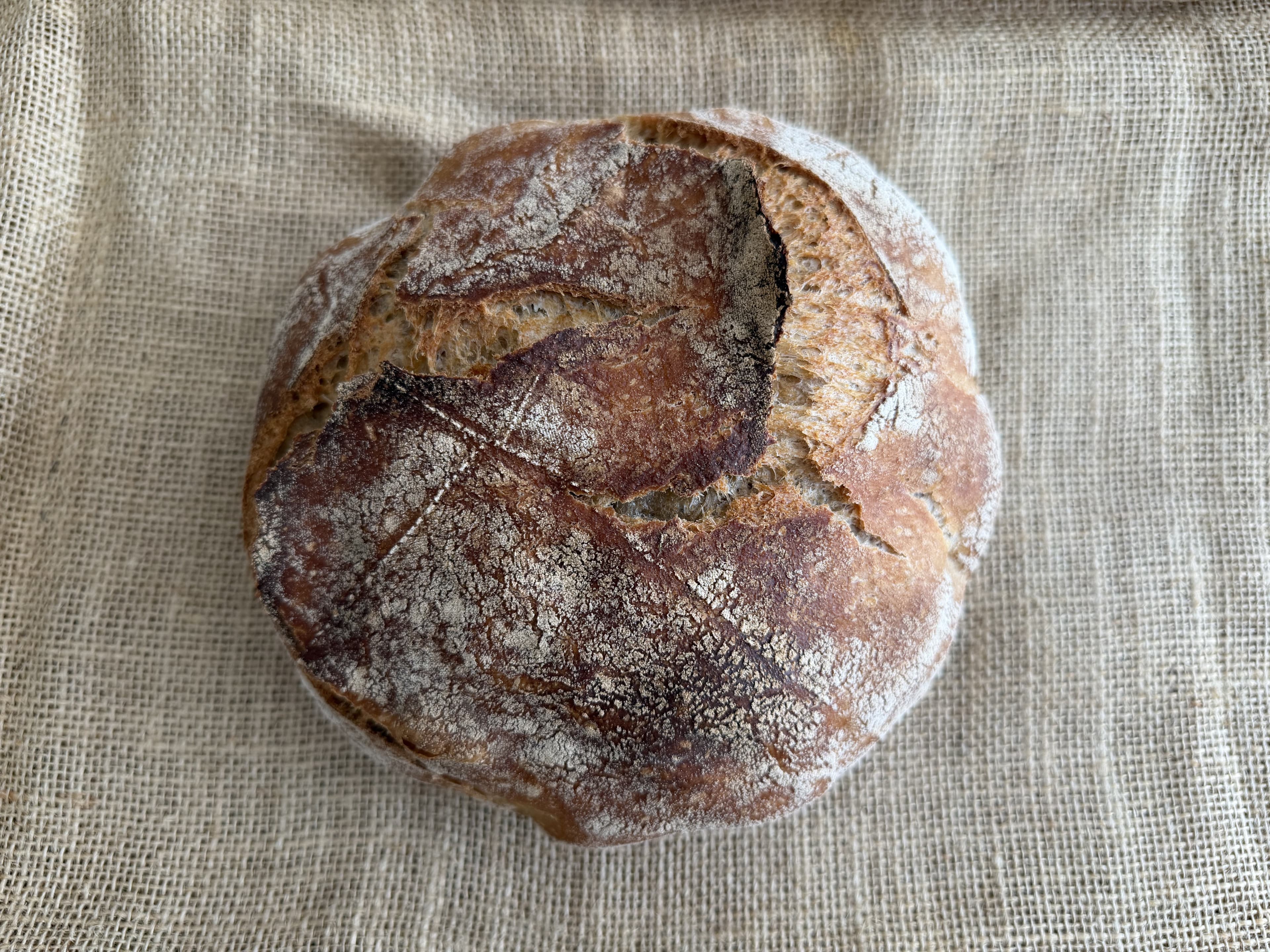 Daily Country Wheat photo 2