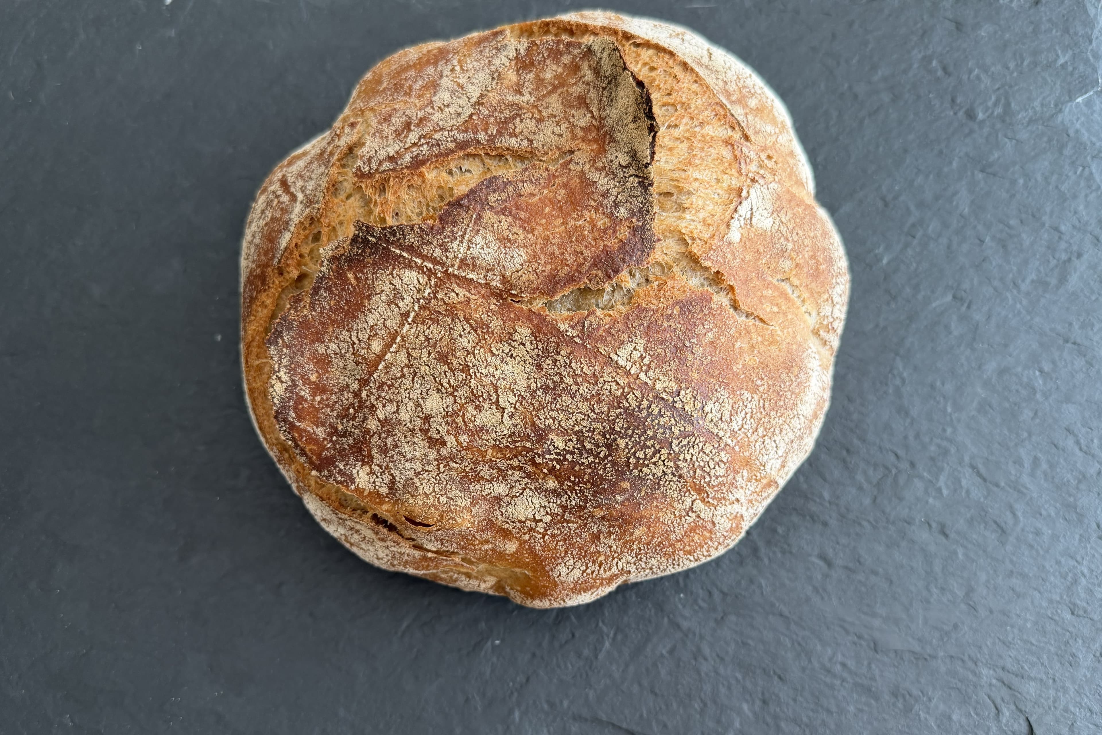 Daily Country Wheat photo 3