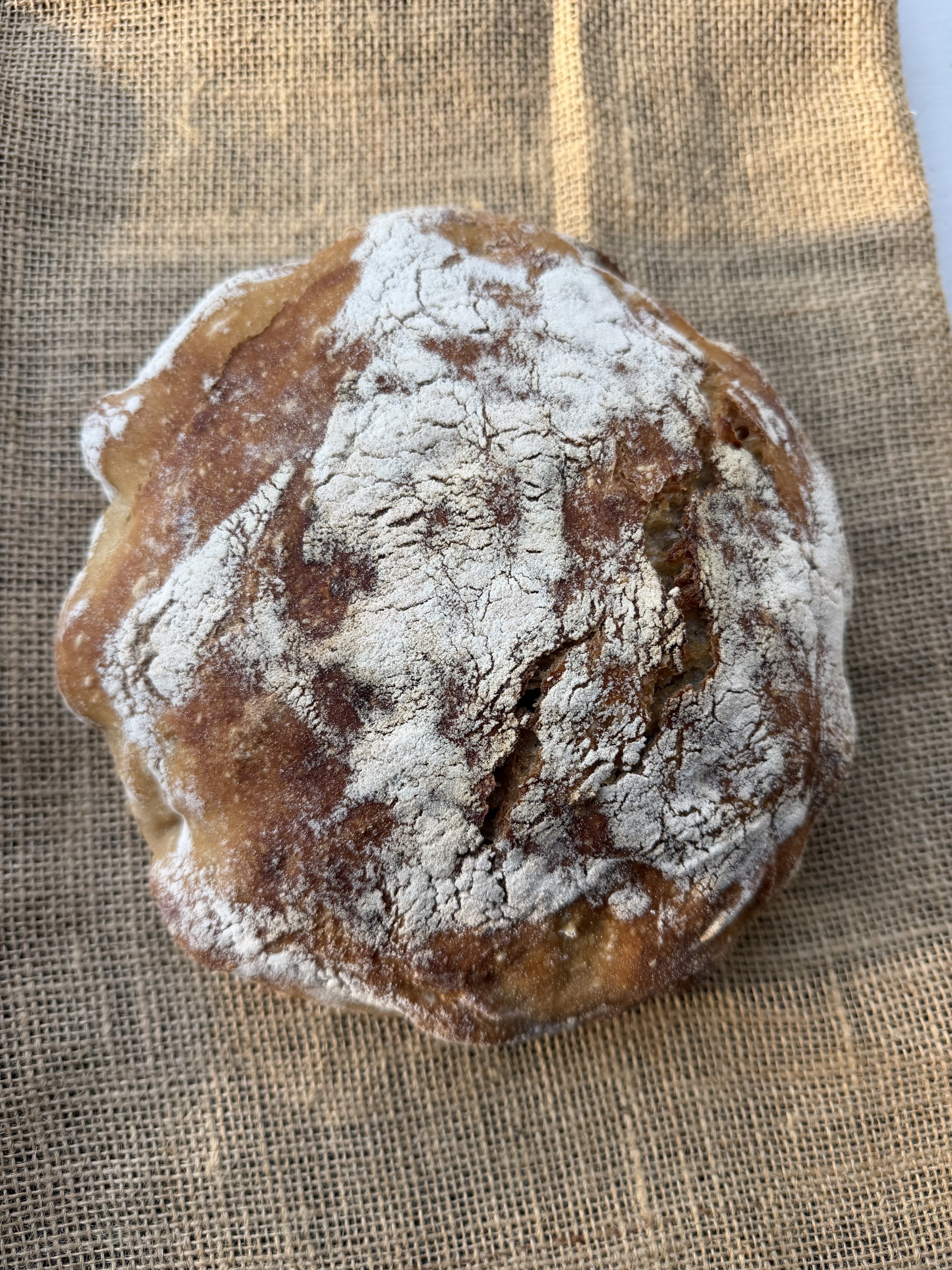 Levain Country Blonde photo 1