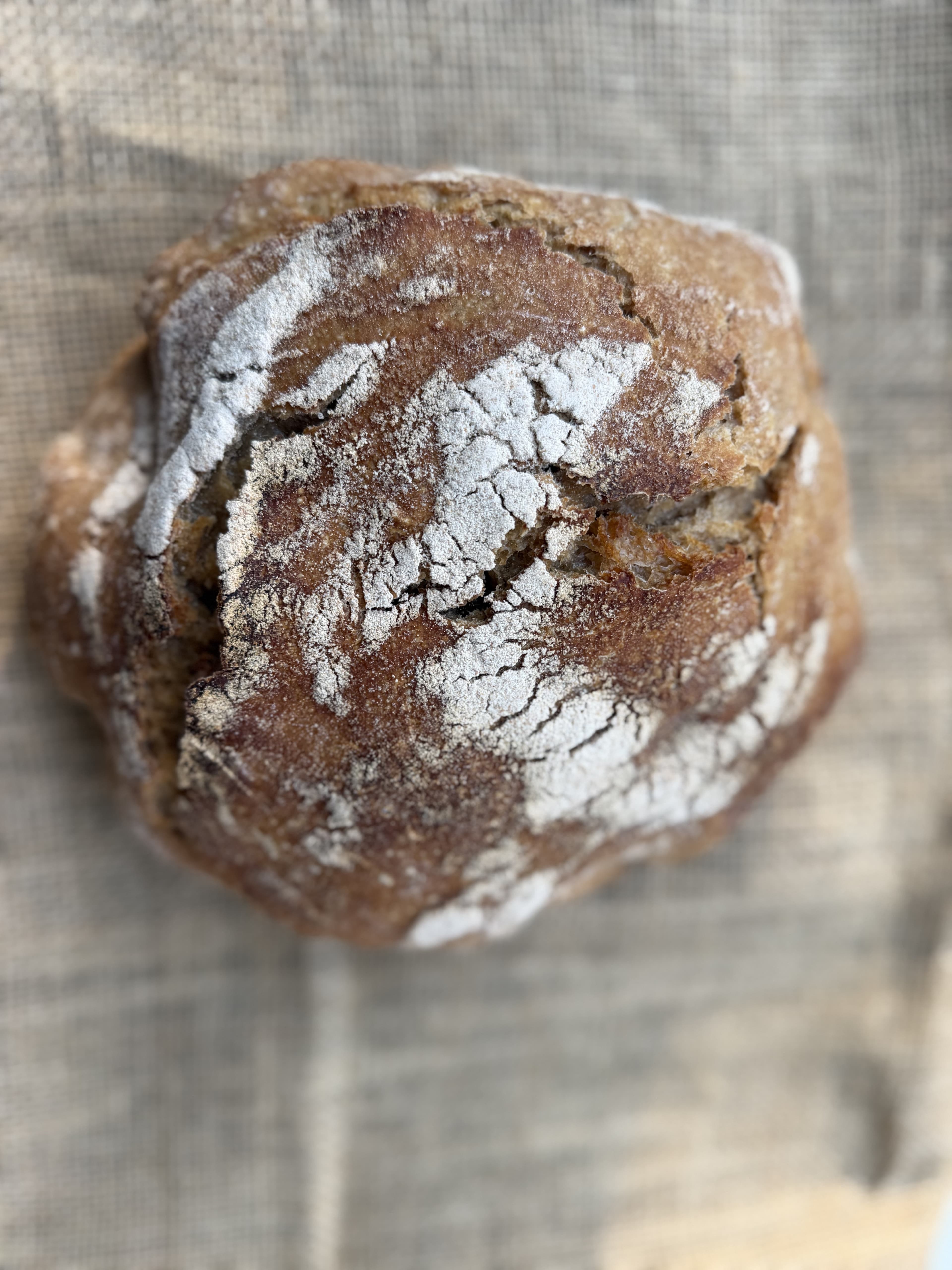 Weston Bake Shop — fresh from the oven