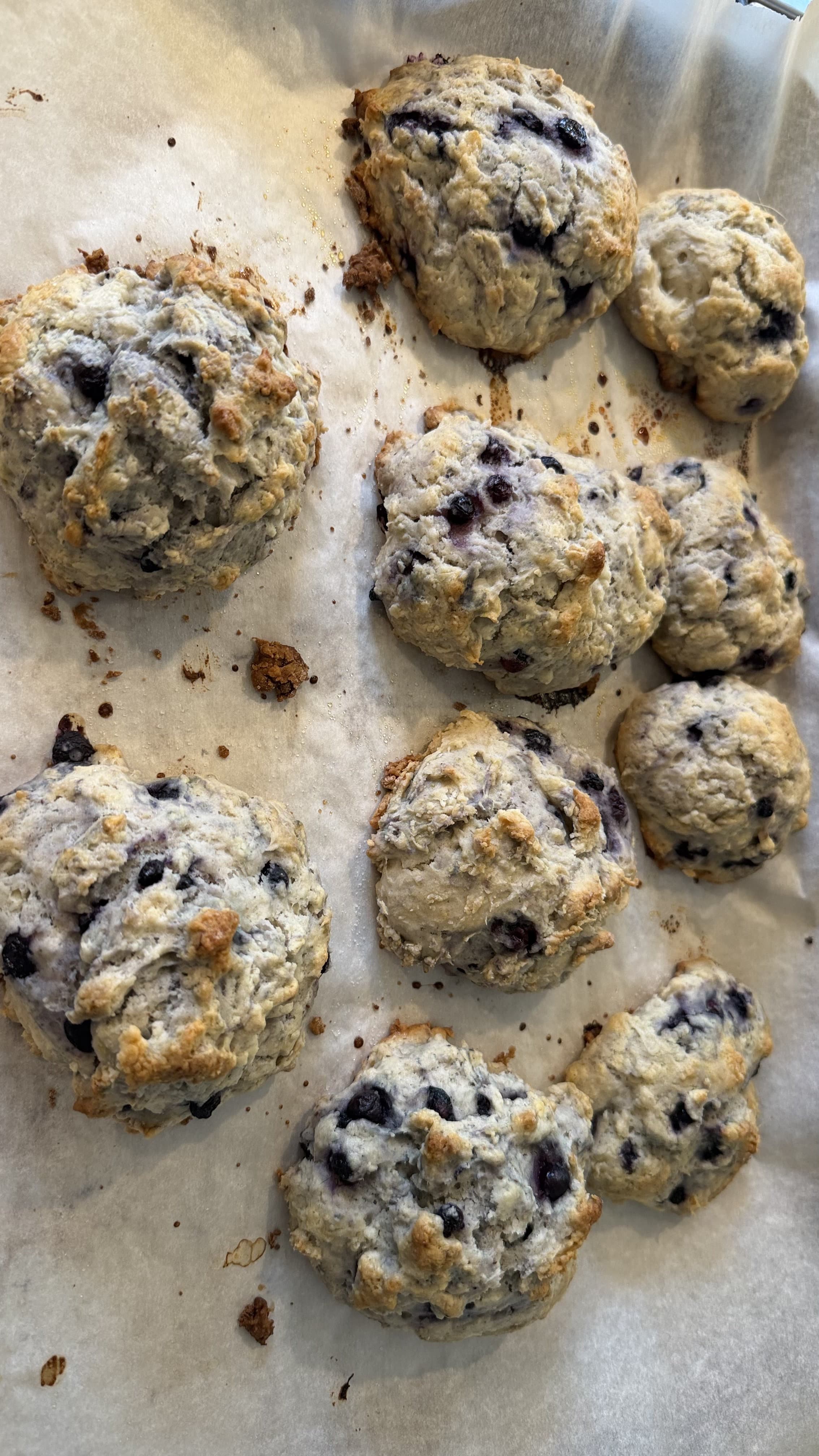 Weston Bake Shop — fresh from the oven