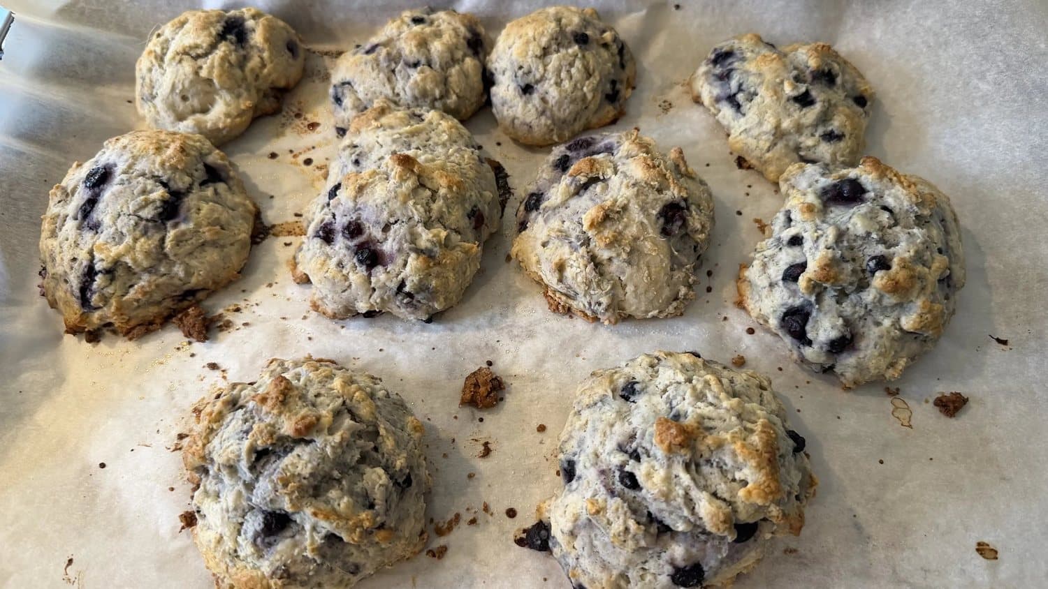 Weston Bake Shop — fresh from the oven